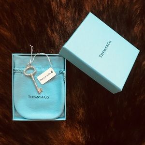 Tiffany &Co. silver oval medium twist key